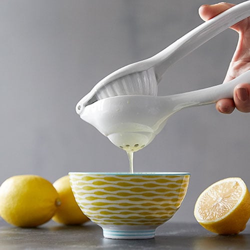 Citrus Press - Image 3