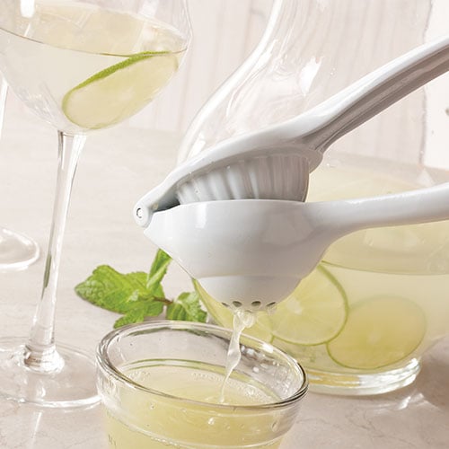 Citrus Press - Image 5